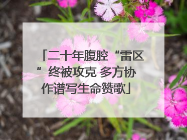 二十年腹腔“雷区”终被攻克 多方协作谱写生命赞歌